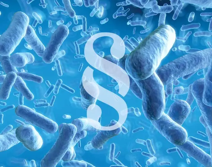 Bakterien in Vergrößerung im Hintergrund und Paragraphen-Zeichen im Vordergrund