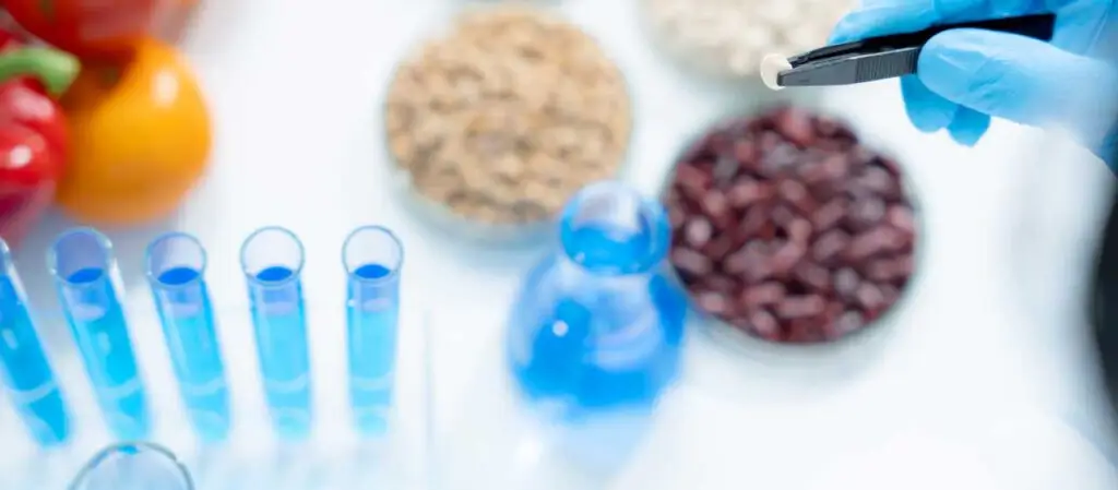 Hand in Gummihandschuh hält Pinsette mit Hülsenfrucht, in Laborumgebung