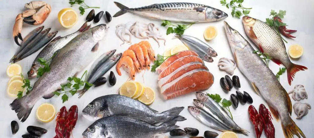 Fische und Meeresfrüchte