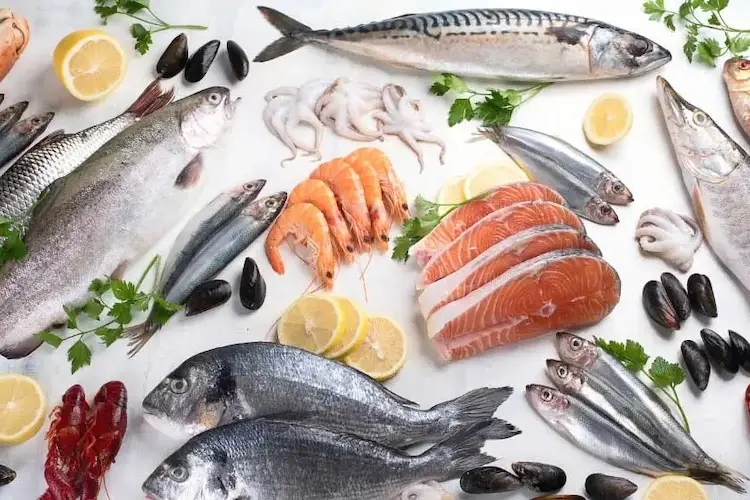 Fische und Meeresfrüchte.