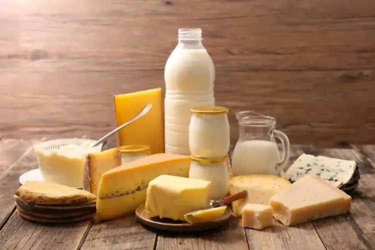 Milch- und Käseprodukte auf Tisch angerichtet.