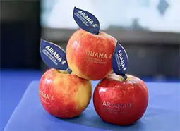 Äpfel mit Ariana Logo