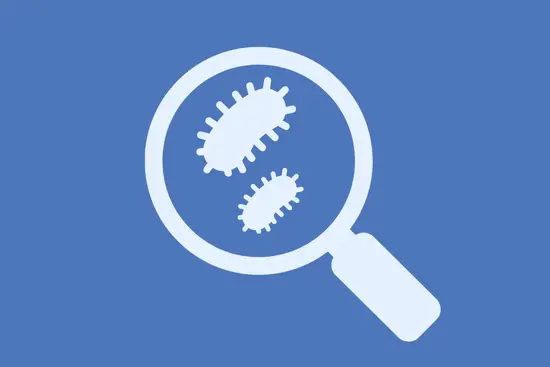 Vereinfachte Grafik von Bakterien mit der Lupe betrachtet