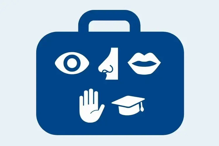 Grafik von Koffer mit folgenden Iconsdarauf: Auge, Nase; Mund, Hand und Doktorhut.