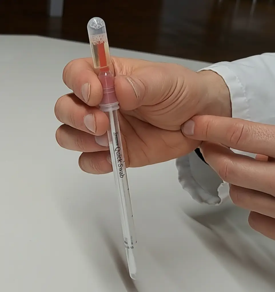 A laboratory person's hands holding a Quick Swab.