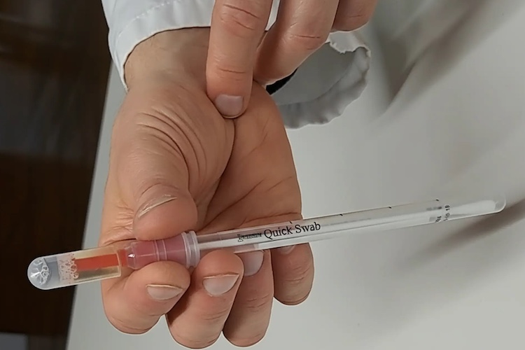 A laboratory person's hands holding a Quick Swab.