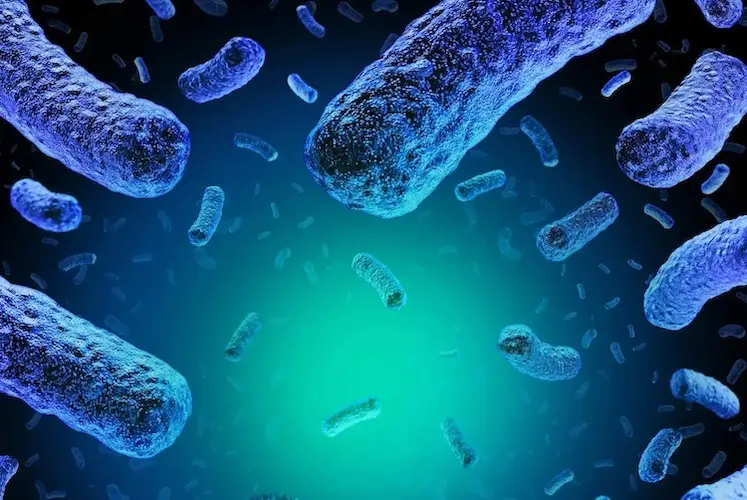 3D rendering of Listeria floating in liquid.