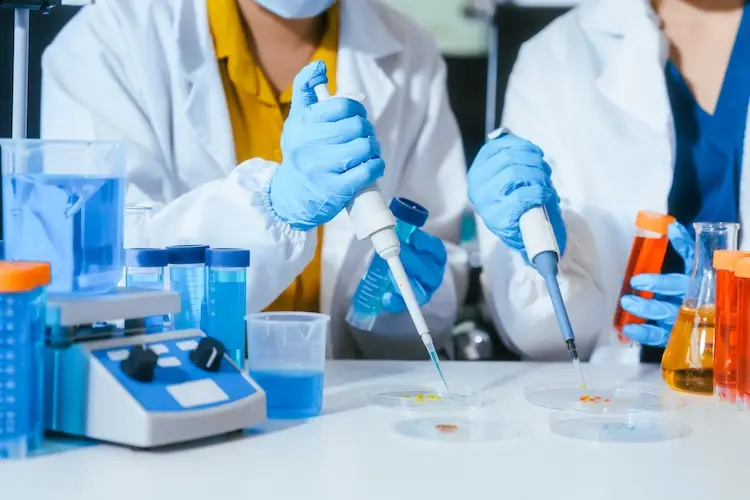 Two scientists in lab coats and gloves using pipettes and petri dishes with test tubes and equipment in a bright laboratory for medical research.